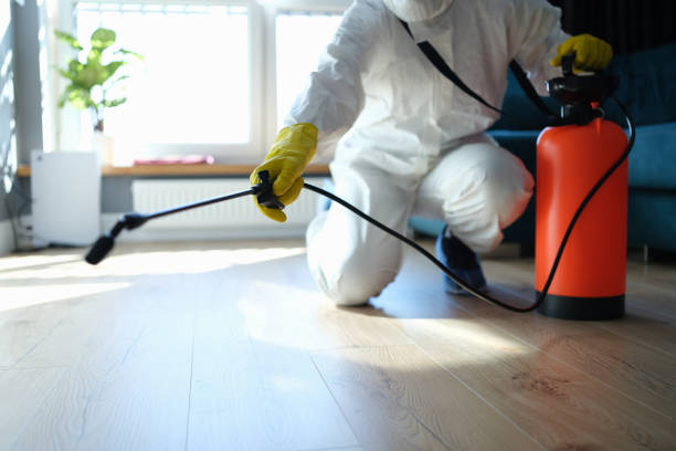 Reliable Odor Removal contractor in Cloverdale, IN by Trauma Clean Pros